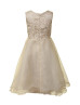 Champagne Lace Organza Knee Length Adorable Flower Girl Dress